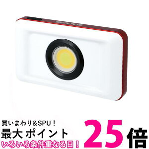 WFgX  LED [NCg USB[d 邳1200[ p[drgp Kc GZ-316  ySG89833z