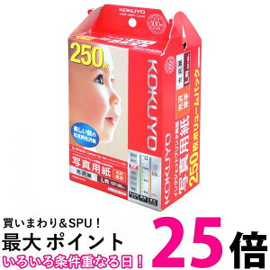 RN CNWFbg ʐ^p  L 250 KJ-G13L-250 zCg  ySG95970z