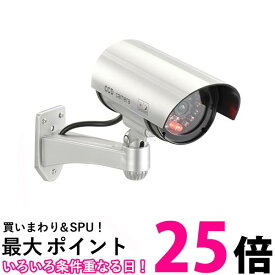 オーム monban 防犯ダミーカメラ 常時点滅 24時間点灯タイプ 乾電池式 空き巣対策 OSE-PDCW3 07-8697 送料無料 【SG96248】