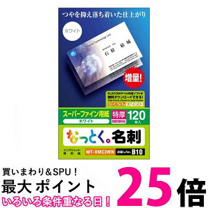 GR hp }`J[h hTCY 120  ʈ TNo. B10 MT-HMC3WN  ySG96276z