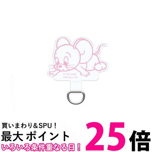 PGA _CJbg Xgbvz_[ ^tB[ gƃWF[ PG-WSTHLD03TUF  ySG98131z