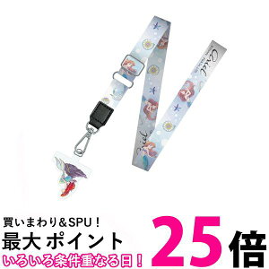 PGA Xgbvz_[t V_[Xgbv AG PG-DSDST11ARL  ySG98138z