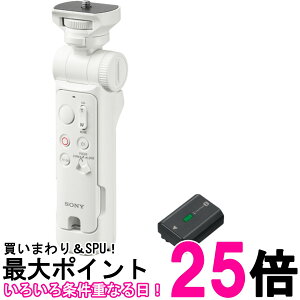 SONY(�\�j�[) ACC-VPT3ZK �A�N�Z�T���[�L�b�g(GP-VPT3 �z���C�g + NP-FZ100)�ySS4546821924058�z