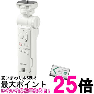 SONY(�\�j�[) ACC-VPT3XK �A�N�Z�T���[�L�b�g(GP-VPT3 �z���C�g + NP-BX1)�ySS4546821924072�z
