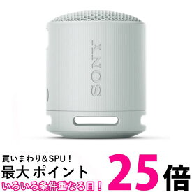 SONY ワイヤレススピーカー SRS-XB100/HC【SS4548736146082】