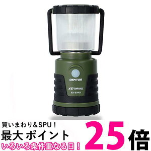 WFgX ^ EX-334D(1)ySS4950654046281z