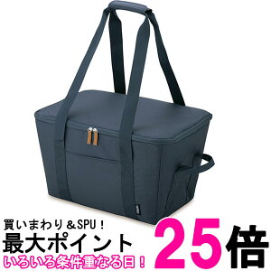 T[X ۗ┃JSpobO 25L iCgO[ RFG-025 N-GYySS4562344396950z