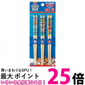 XP[^[ ANT2T  pEpg[ |  ͂ ͂ 16.5cm 3{Zbg Skater ySB03517z