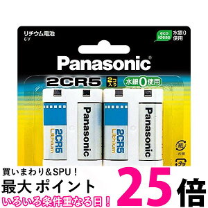 Panasonic 2CR-5W/2P �J�����p���`�E���d�r 6V 2�� �ySB03691�z