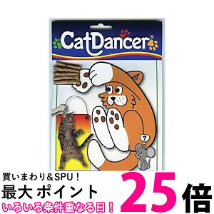 Lbg_T[ L炵 Lp Cat Danser ySB04400z