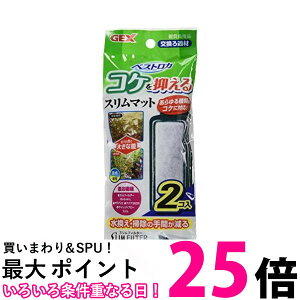 WFbNX xXgJRP}X}bg2 ySB04664z