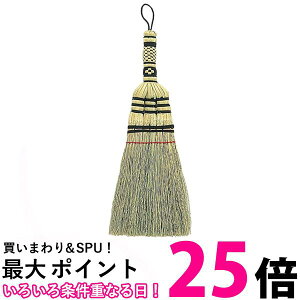 AY}H EC127 pS҂݃nhuV azuma ySB06345z