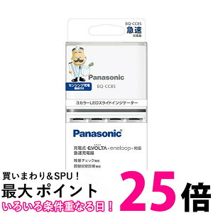 pi\jbN(Panasonic) EVOLTA }[d P3`EP4` BQ-CC85 ySB06758z