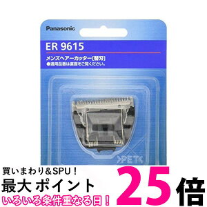 �p�i�\�j�b�N ER9615 �֐n �o���J���p Panasonic �ySB12800�z