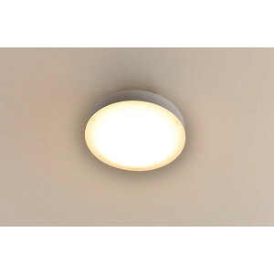 �M�t�g ���}�[�� LED�~�j�V�[�����O���C�g�i�d���F�j �����F MLC�]070L 53841 �ySTS228281521�z