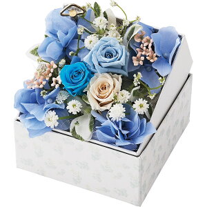 �I���S�[���t���{�b�N�X�t�����[�A�����W�����g�i�V���f�����j 2022DO-003SH �ySTS230257012�z