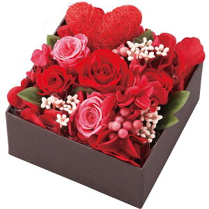 �{�b�N�X�t�����[�A�����W�����g�i�~�b�L�[���~�j�[�j 2022DO-004SH �ySTS230257047�z