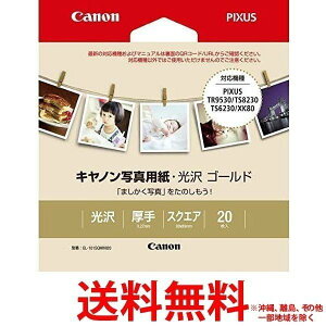 Lm ʐ^pE S[h GL-101SQMINI20(20) ySS4549292136128z