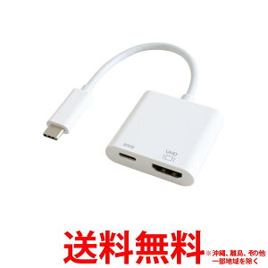GOPPA USB Type-C HDMIϊA_v^[ zCg GP-CHDH/WySS4589785193504z