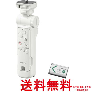 SONY(�\�j�[) ACC-VPT3XK �A�N�Z�T���[�L�b�g(GP-VPT3 �z���C�g + NP-BX1)�ySS4546821924072�z