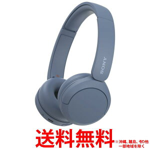 SONY ���C�����X�w�b�h�z�� WH-CH520(L)�ySS4548736142855�z