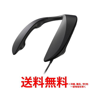 Panasonic �Q�[�~���O�l�b�N�X�s�[�J�[ SC-GN01-K�ySS4549980493816�z