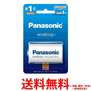 Panasonic Gl[v jbPfdr P1` BK-1MCD/1ySS4549980725962z