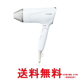 テスコム ヘアドライヤー プロテクトイオン 折りたたみ 速乾 小型 軽量 冷温風 Speedom ラク抜きプラグ ホワイト TD570A-W【SS4975302157034】