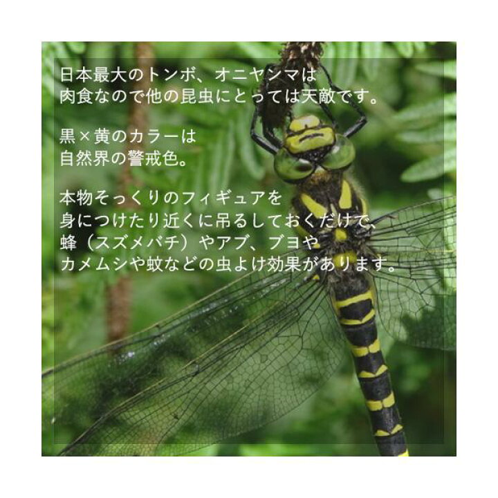 エントリーでポイント5倍 8 11 1 59迄 木 カメムシ よけ