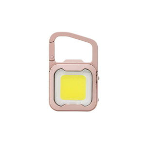 TV WRC-21DP [d ҂ MINI LIGHT _XeBsN ySB02337z