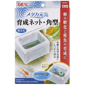 WFbNX _JC 琬lbg p^ GEX ySB02344z