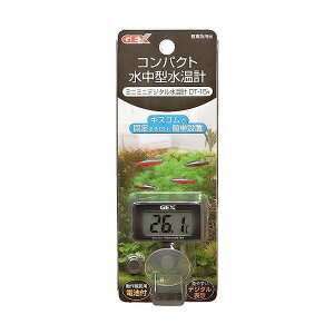 WFbNX DT-15N ~j~jfW^ v Ϗ܋ GEX ySB07744z