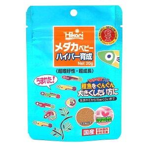 L[ qJ _Jxr[ nCp[琬 20g t̉a ySB13152z