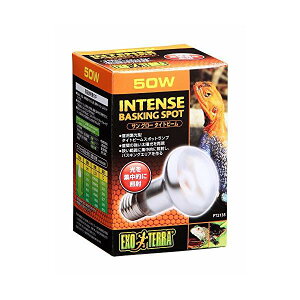 ジェックス エキゾテラ サングロータイトビーム バスキングスポットランプ 50W 昼用 【SB14369】