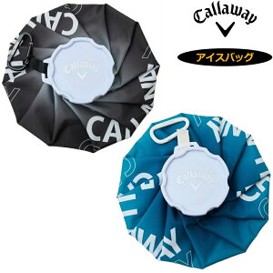LEFC ACXobO X̂ Jrit C24198101 CallawayyVizTAAR XX ΍ MǗ\h ACVOp Y fB[X jZbNX JUL2