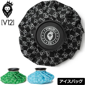 V12 St 2025 ACXobO X̂ MONO ICE BAG V122510-BG07 BEgDGyViz25SS V12 GOLF XX ACVO ΍ MǑ΍ Stpi