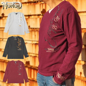 m[g VlbN  Vc 223N1103 WJ[h Norton yVizRCBR  Vc EFA gbvX Y t@bV JWA DEC2