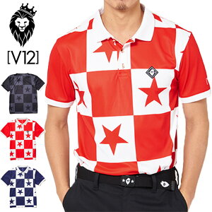 V12 St Y  |Vc PANEL STAR POLO V122010-CT02 BEgDG tďHyVizPAAR StEFA gbvX V12 GOLF X^[