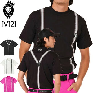 V12 St Y  bNlbN Vc SUS MOCK V122310-MK01 BEgDG yVizSAAR StEFA  bNVc V12GOLF APR1