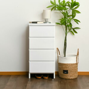 yX[p[SALEN[|sz h[[ Ԏ[ 40 `FXg i ԃ`FXg s30 ^ ^`FXg JE^[ {  zCg  O[  