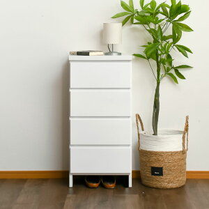 yX[p[SALEN[|sz h[[ Ԏ[ 45 `FXg i ԃ`FXg s30 ^ ^`FXg JE^[ {  zCg  O[  