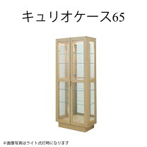 楽天市場】塩川光明堂 キュリオケースの通販