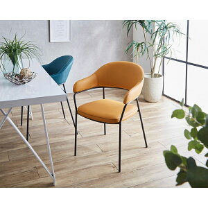 _CjO`FA `FA 2rZbg 58cm s57cm 80cm X`[r ω׏d80kg  H  킢 Vv _ }X^[h ^[RCY CG[ O[ CX^f