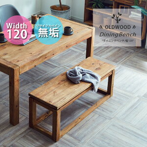 yX[p[SALEN[|sz x` _CjO ؐ  k _  120cm 43cm ؖ rO C 120  AeB[N Vv CeA e[uɂgp