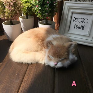 QׂL { f ˂ʂ u CeA  A ii   Be ͌^ G   H|i  jR q l a 