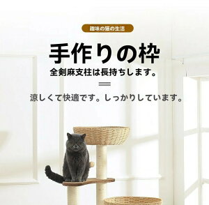 y@\Lbg^[z܂ƂWv䁕L̑t 3w\ gݗĎLp pANeBreBZ^[