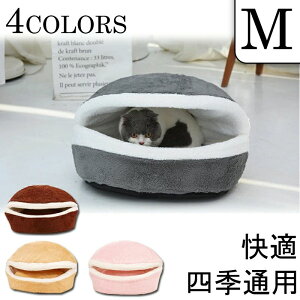   L p L ybg  L}bg LoXPbg  ybgxbh L̓Ãxbh 킢 ybg ybgpi  L }bg ~̑΍ h΍