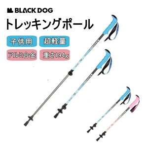 BLACKDOG gbLO|[ qp y RpNg oRXgbN A~ XebL |[ Ro蒷 AEghA K jp 퐶 AEghA oR s oR oRpi 