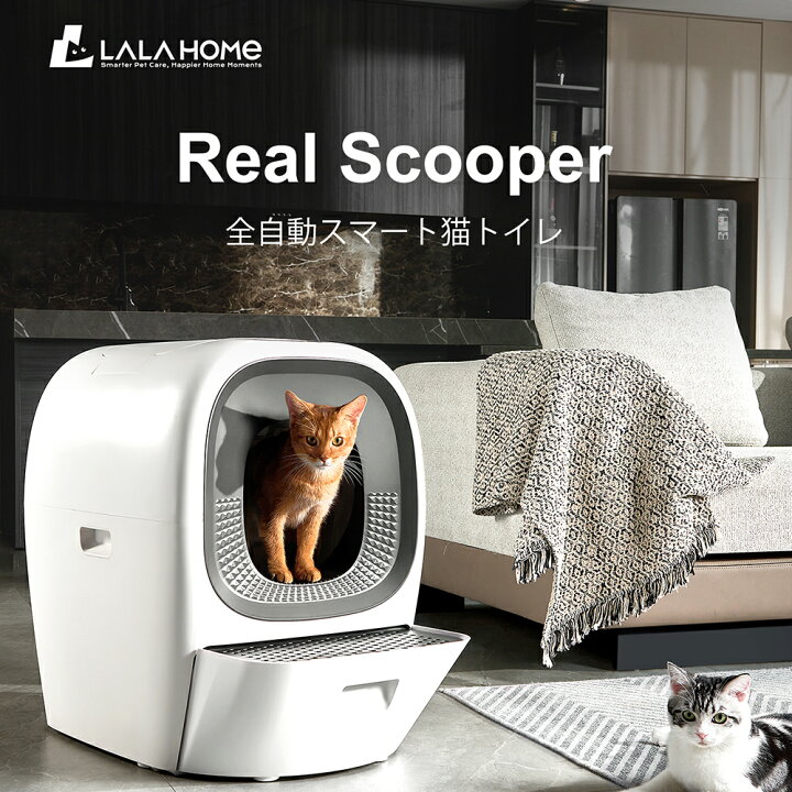 楽天市場】[4/4 20時~ ポイント5倍+最大2000円クーポン]RealScooper 