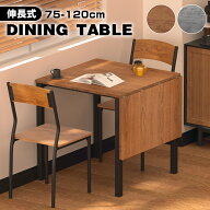 【4月20日限定！ポイント10倍！】ダイニングテーブル 伸長式 ダイニングテーブルセット 3点セット 伸縮式…